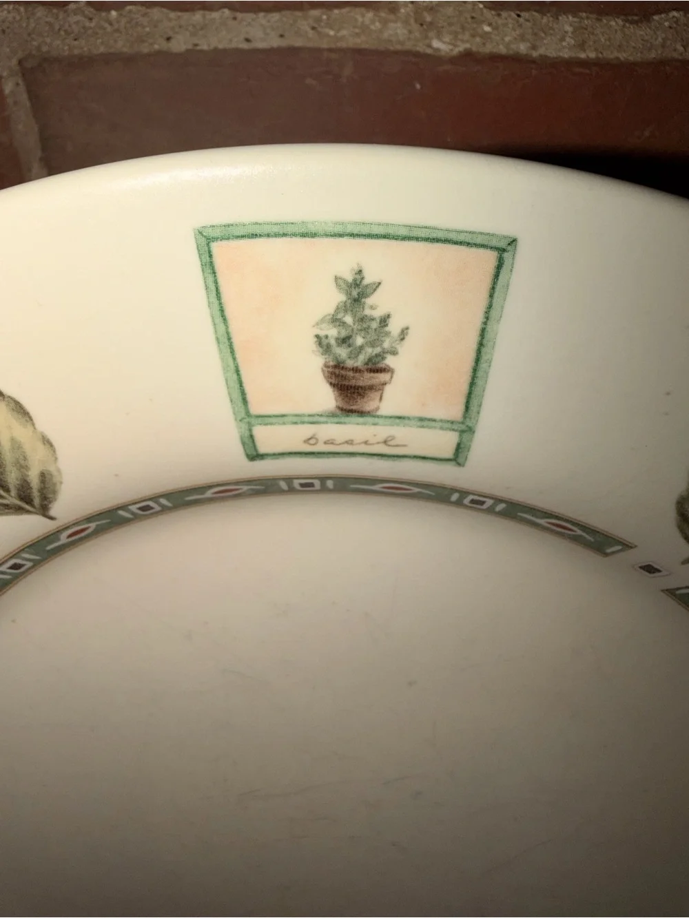 Pfaltzgraff Green Botanical Pattern Ceramic Dinner Plates Set of 14 (7 Each)